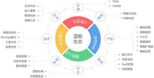 企業(yè)IT運(yùn)維管理轉(zhuǎn)型 從成本中心到價(jià)值引擎的必然選擇